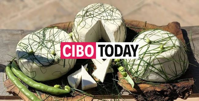 masseria cinque santi