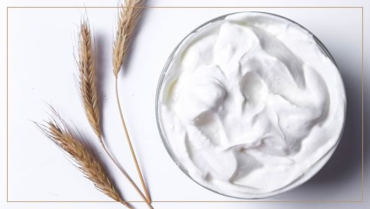 yogurt di mucca masseria cinque santi